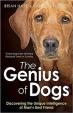 The Genius of Dogs: Discovering the Unique Intelligence of Man's Best Friend