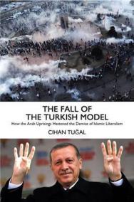 The Fall of the Turkish Model