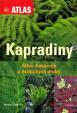 Kapradiny - Atlas domácích a exotických druhů