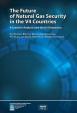 The Future of Natural Gas Security in the V4 Countries: A Scenario Analysis and the EU Dimension