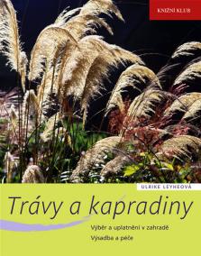 Trávy a kapradiny