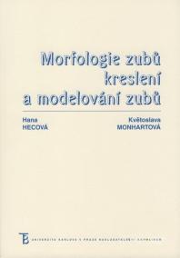 Morfologie zubů. Kreslení a modelování zubů