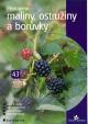 Pěstujeme maliny, ostružiny a borůvky -  edice Česká zahrada 43