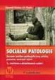Sociální patologie - Závažné sociálně patologické jevy, příčiny, prevence, možnosti řešení
