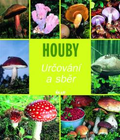 Houby - Určování a sběr