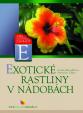 Exotické rastliny v nádobách