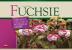 Fuchsie