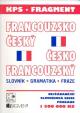 Francouzsko Český Česko Francouzský slovník gramatika fráze