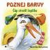 Poznej barvy