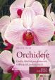 Orchideje - druhy vhodné pro pěstování v domácích podmínkách