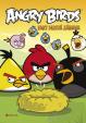 Angry Birds - Fakt hustá zábava