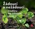 Žádoucí a nežádoucí rostliny na zahradě - Jak je rozpoznat a co s nimi