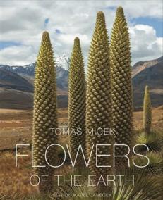 Květy Země- Flowers of the Earth