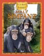 Malý šimpanz: ja a moja rodina