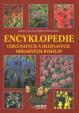Encyklopedie cibulnatých a hlíznatých okrasných ro