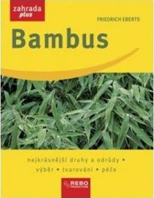 Bambus - Zahrada plus