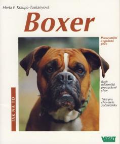 Boxer - Jak na to