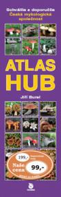 Atlas hub