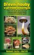 Dřevní houby v přírodě a kuchyni