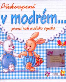 Překvapení v modrém.....první rok našeho synka