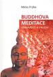 Buddhova meditace všímavosti a vhledu