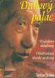 Duhový palác - Příběh mistra tibetské me