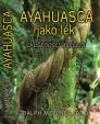 Ayahuasca jako lék - zkušenosti a léčení
