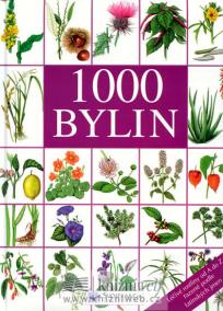 1000 bylin