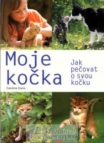 Moje kočka - jak pečovat o svou kočku