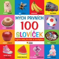 Mých prvních 100 slovíček A-Č slovnik