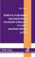 Klíčová rozhodnutí mezinárodních trestních tribunálů ve světle mezinárodního práva