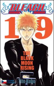 Bleach 19: Black Moon Rising