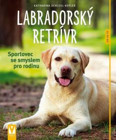 Labradorský retrívr - Sportovec se smyslem pro rodinu