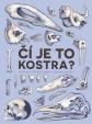 Čí je to kostra?