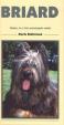 Briard