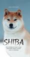 Shiba