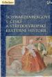 Schwarzenbergové v české a středoevropské kulturní historii