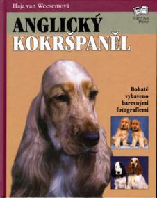 Anglický kokršpaněl