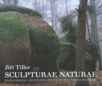 Sculpture Nature