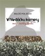 V hledáčku kamery