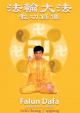 Falun DAFA - dvd