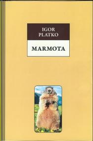 Marmota