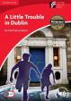 Camb Experience Rdrs Lvl 1 Beg/Elem: Little Trouble in Dublin, A