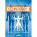 Kineziologie - Dotek pro zdraví